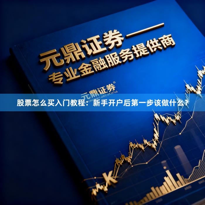 股票怎么买入门教程：新手开户后第一步该做什么？