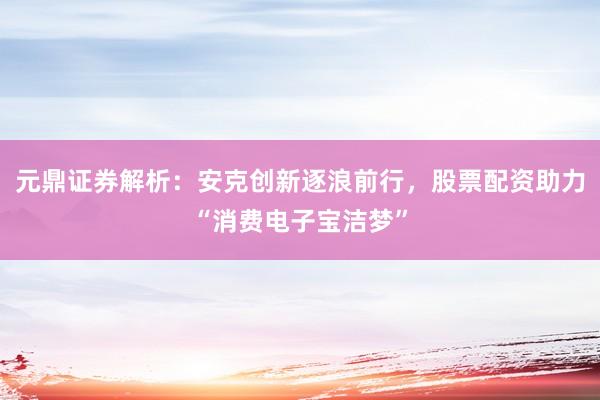 元鼎证券解析：安克创新逐浪前行，股票配资助力“消费电子宝洁梦”