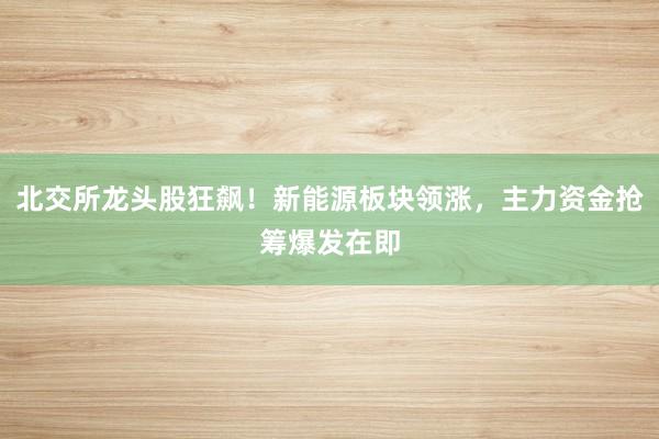 北交所龙头股狂飙！新能源板块领涨，主力资金抢筹爆发在即