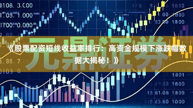 《股票配资短线收益率排行：高资金规模下涨跌幅数据大揭秘！》