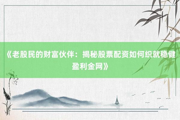 《老股民的财富伙伴：揭秘股票配资如何织就稳健盈利金网》