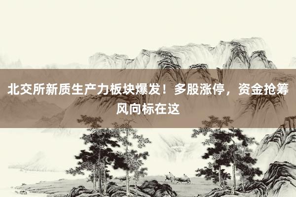 北交所新质生产力板块爆发！多股涨停，资金抢筹风向标在这