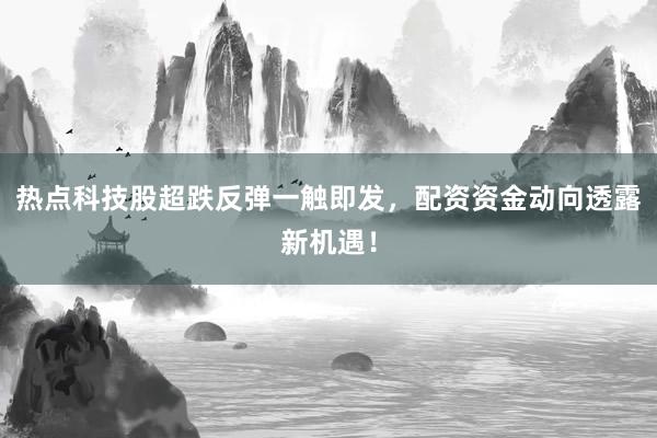 热点科技股超跌反弹一触即发，配资资金动向透露新机遇！