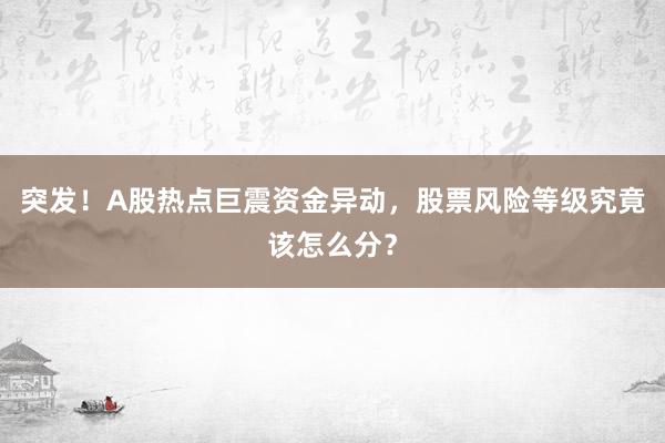 突发！A股热点巨震资金异动，股票风险等级究竟该怎么分？