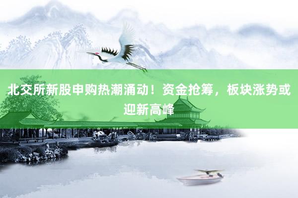 北交所新股申购热潮涌动！资金抢筹，板块涨势或迎新高峰
