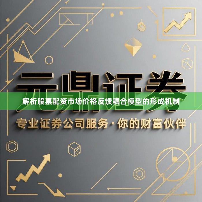 解析股票配资市场价格反馈耦合模型的形成机制
