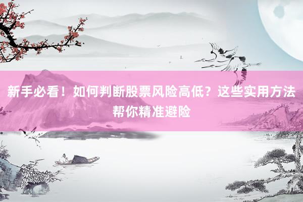新手必看！如何判断股票风险高低？这些实用方法帮你精准避险