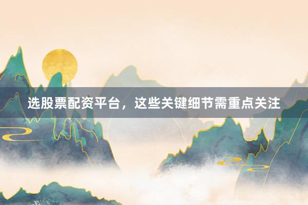 选股票配资平台，这些关键细节需重点关注