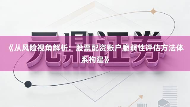 《从风险视角解析：股票配资账户脆弱性评估方法体系构建》
