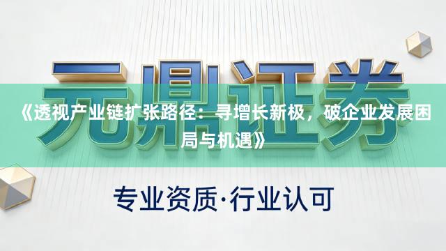 《透视产业链扩张路径：寻增长新极，破企业发展困局与机遇》