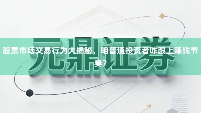 股票市场交易行为大揭秘，咱普通投资者咋跟上赚钱节奏？