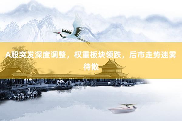 A股突发深度调整，权重板块领跌，后市走势迷雾待散