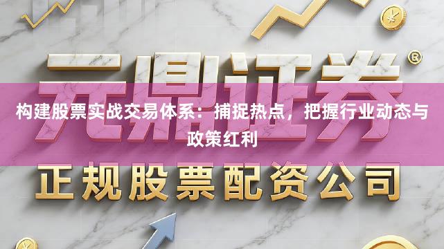 构建股票实战交易体系：捕捉热点，把握行业动态与政策红利