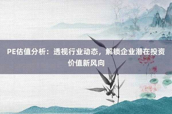 PE估值分析：透视行业动态，解锁企业潜在投资价值新风向