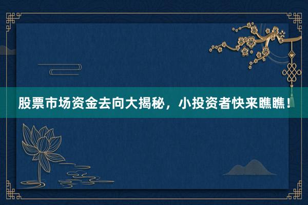股票市场资金去向大揭秘，小投资者快来瞧瞧！
