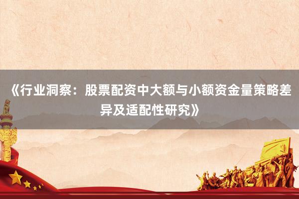 《行业洞察：股票配资中大额与小额资金量策略差异及适配性研究》